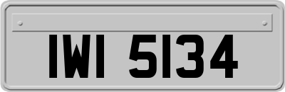 IWI5134