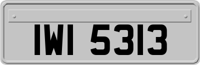 IWI5313