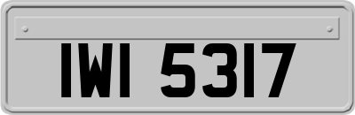 IWI5317