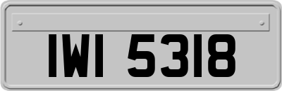IWI5318