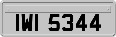 IWI5344