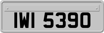 IWI5390