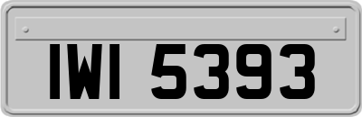 IWI5393