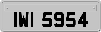 IWI5954