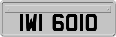 IWI6010
