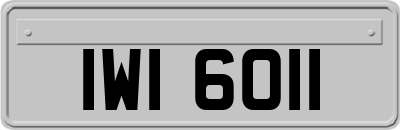 IWI6011