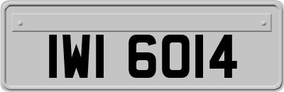 IWI6014