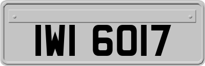 IWI6017