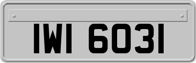 IWI6031