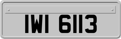 IWI6113