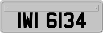 IWI6134