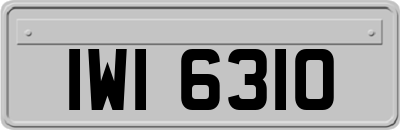 IWI6310