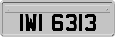 IWI6313