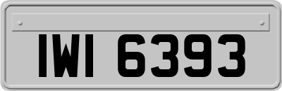 IWI6393
