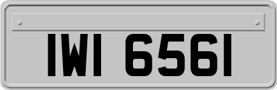 IWI6561