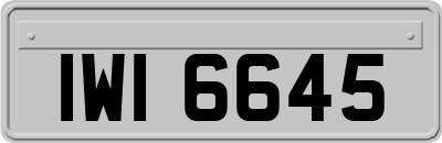 IWI6645