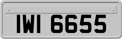 IWI6655