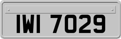 IWI7029