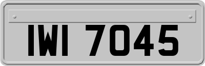 IWI7045