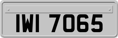 IWI7065