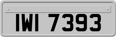 IWI7393