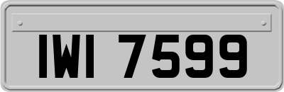 IWI7599