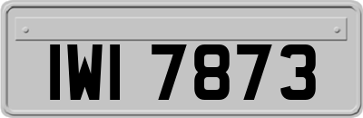 IWI7873