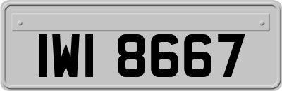 IWI8667