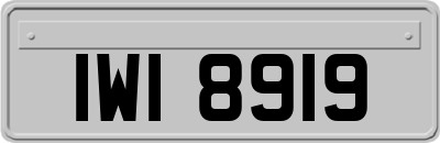 IWI8919