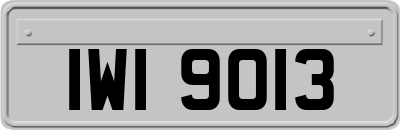 IWI9013