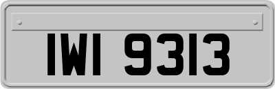 IWI9313
