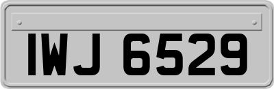 IWJ6529