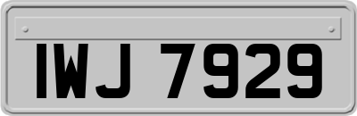 IWJ7929