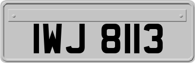 IWJ8113