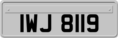 IWJ8119