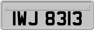 IWJ8313
