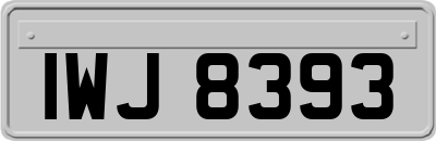 IWJ8393