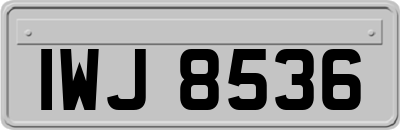 IWJ8536
