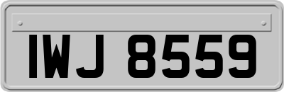 IWJ8559