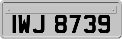 IWJ8739