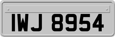 IWJ8954