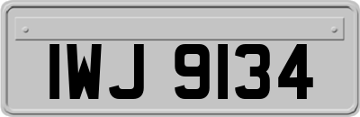 IWJ9134