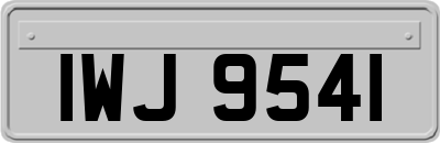 IWJ9541