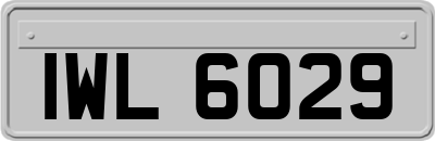 IWL6029