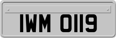 IWM0119