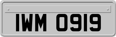 IWM0919