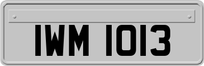 IWM1013