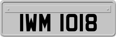 IWM1018