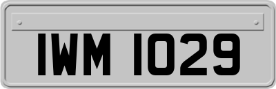 IWM1029