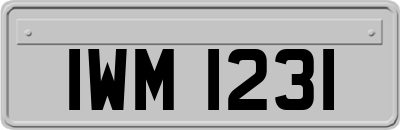 IWM1231